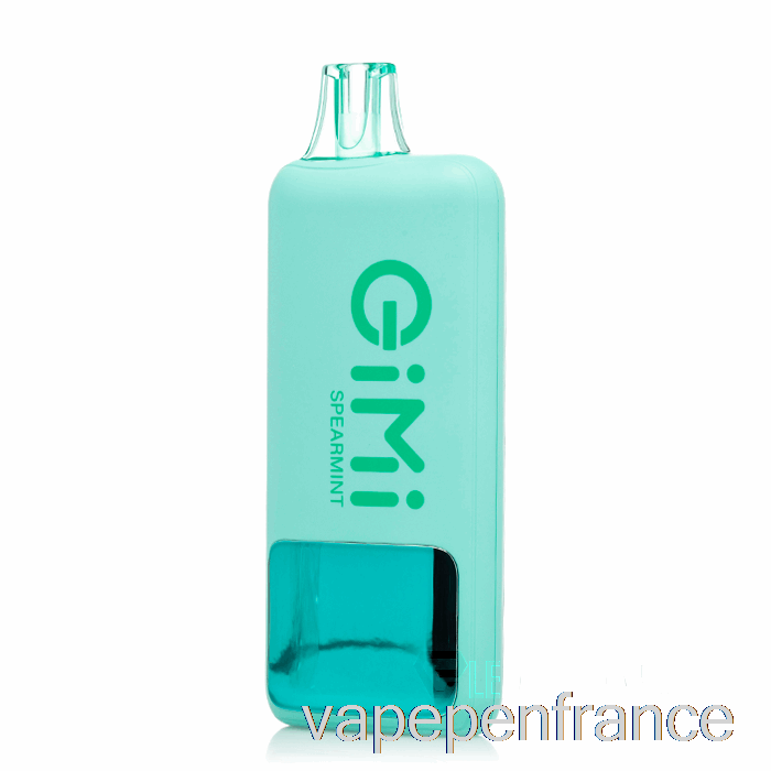 Stylo Vape Jetable Intelligent Flum Gimi 8500 à La Menthe Verte